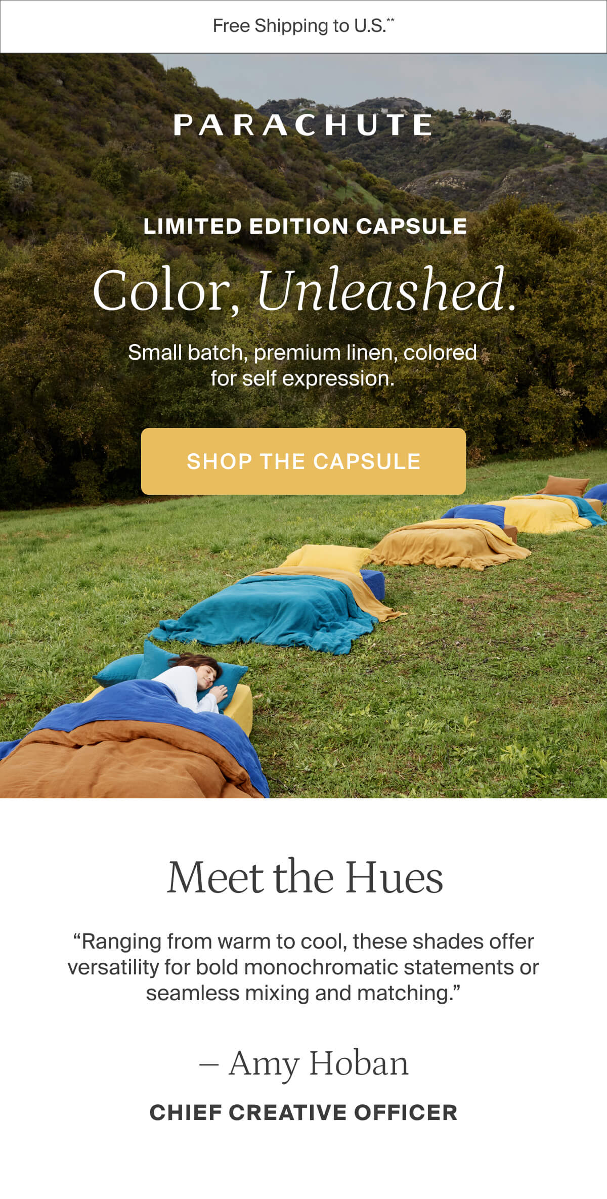 Color unleashed. Shop the capsule. 