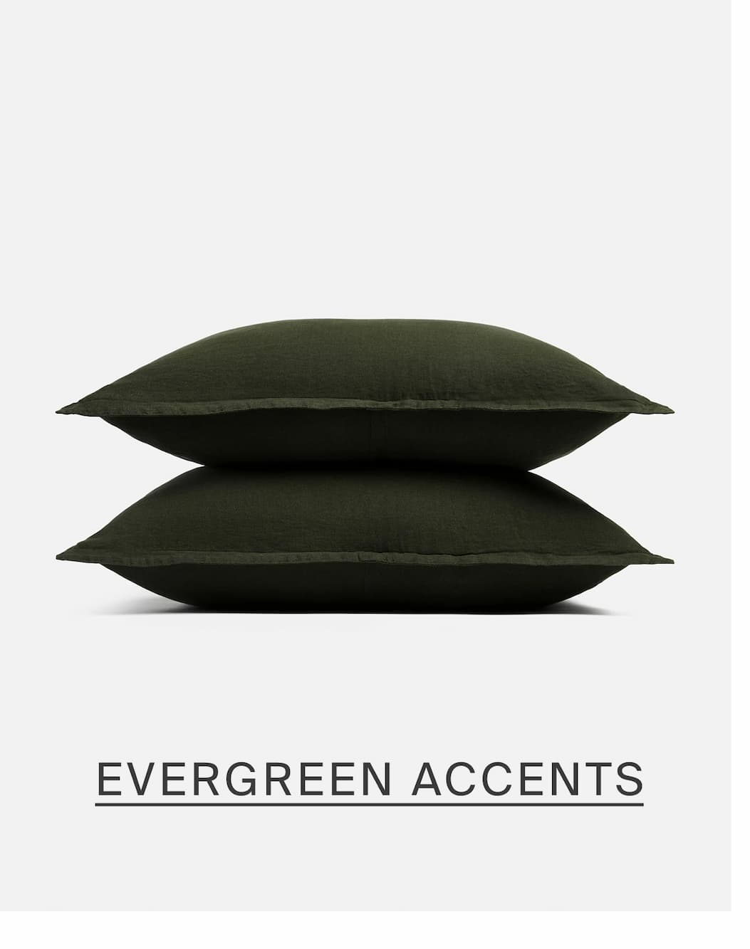 Shop evergreen accents