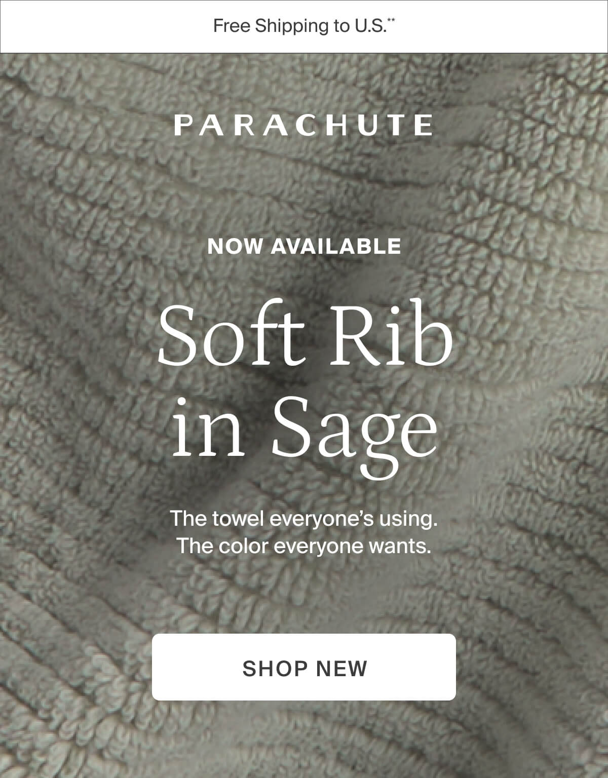 Now available. Soft rib in Sage. Shop new. 