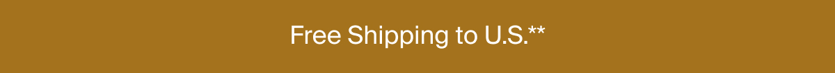 free shipping to US