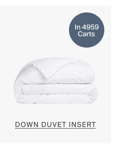 Down duvet insert