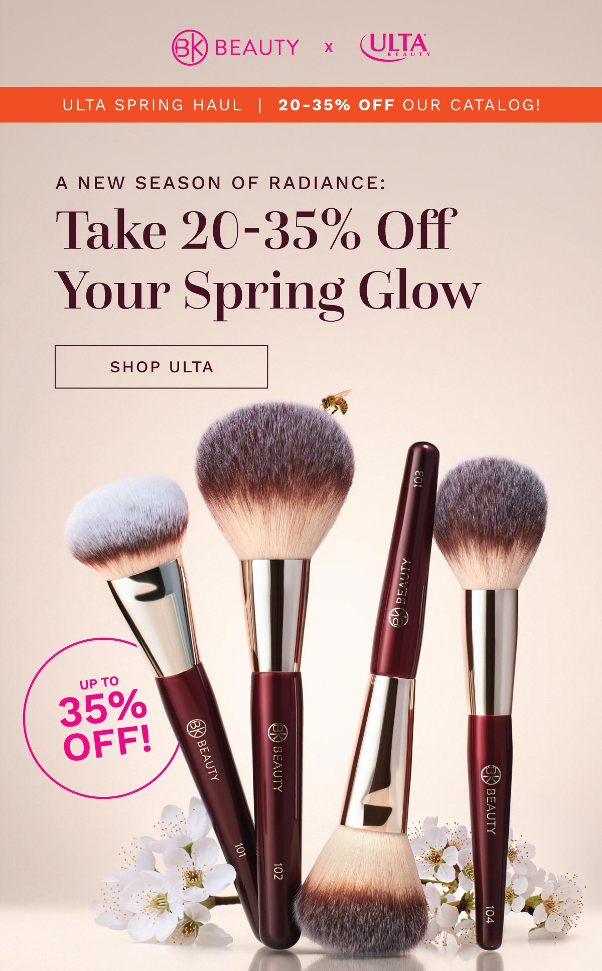 Shop Now  >