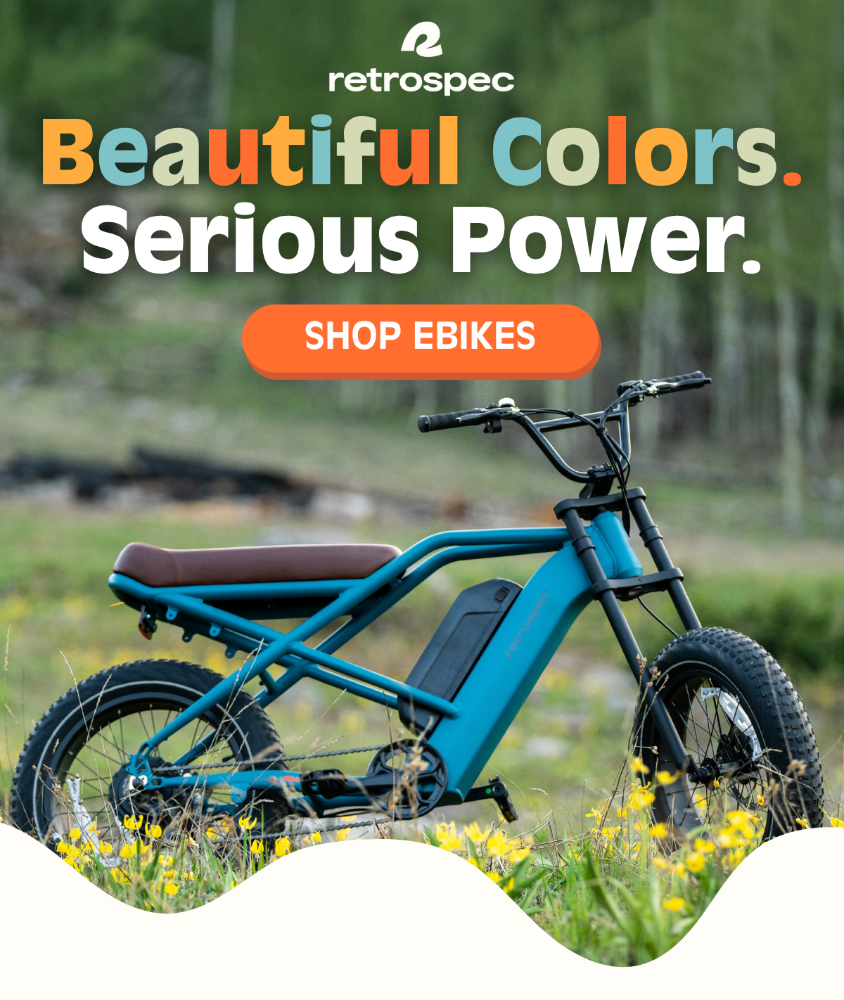 SHOP EBIKES 