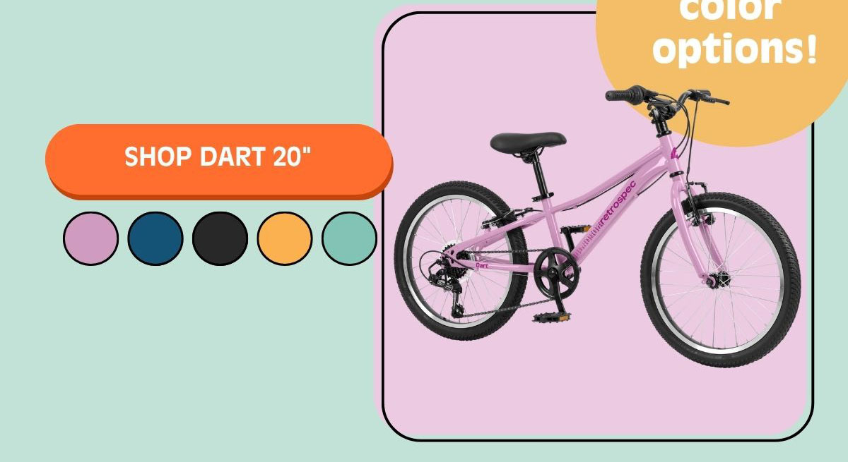 Shop Dart 20"