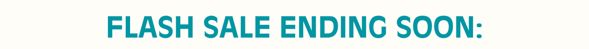 Flash Sale
