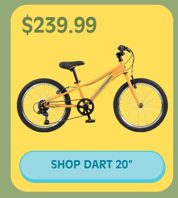 Shop Dart 20" 