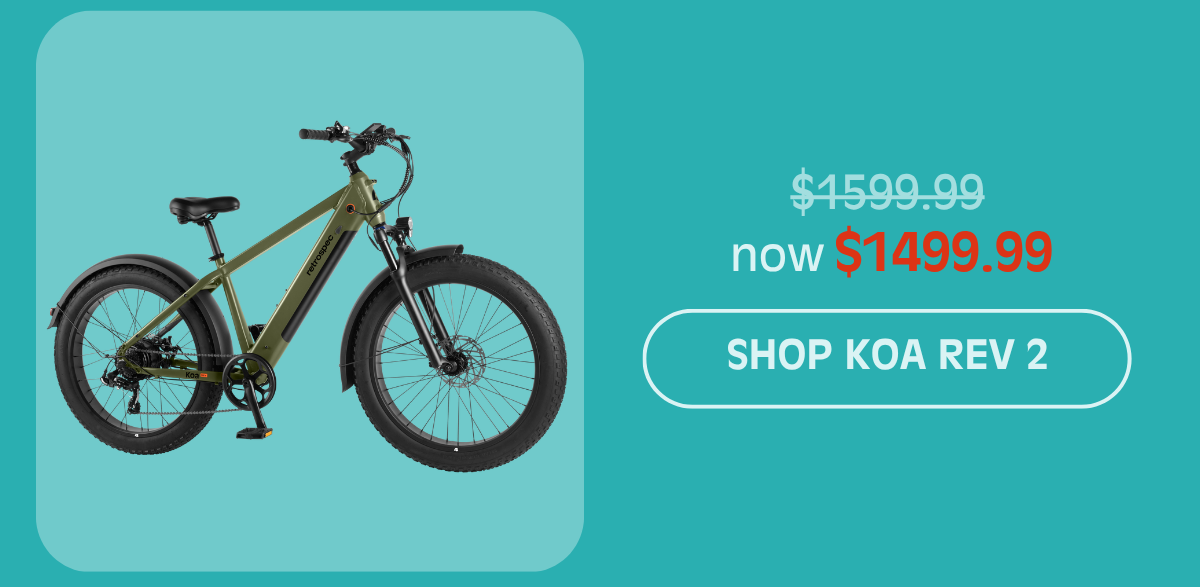 Shop Koa Rev 2