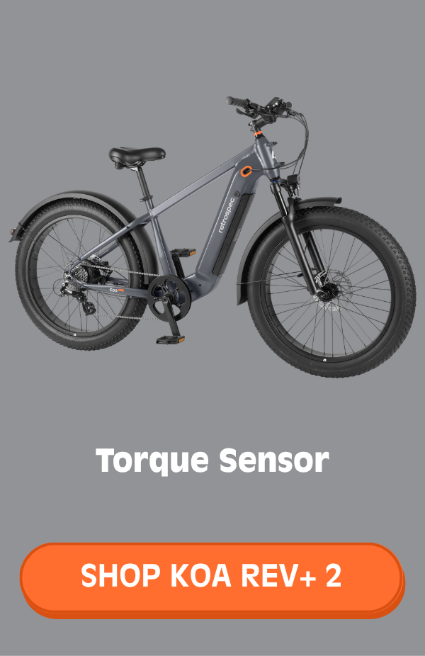 Shop Koa Rev+ 2