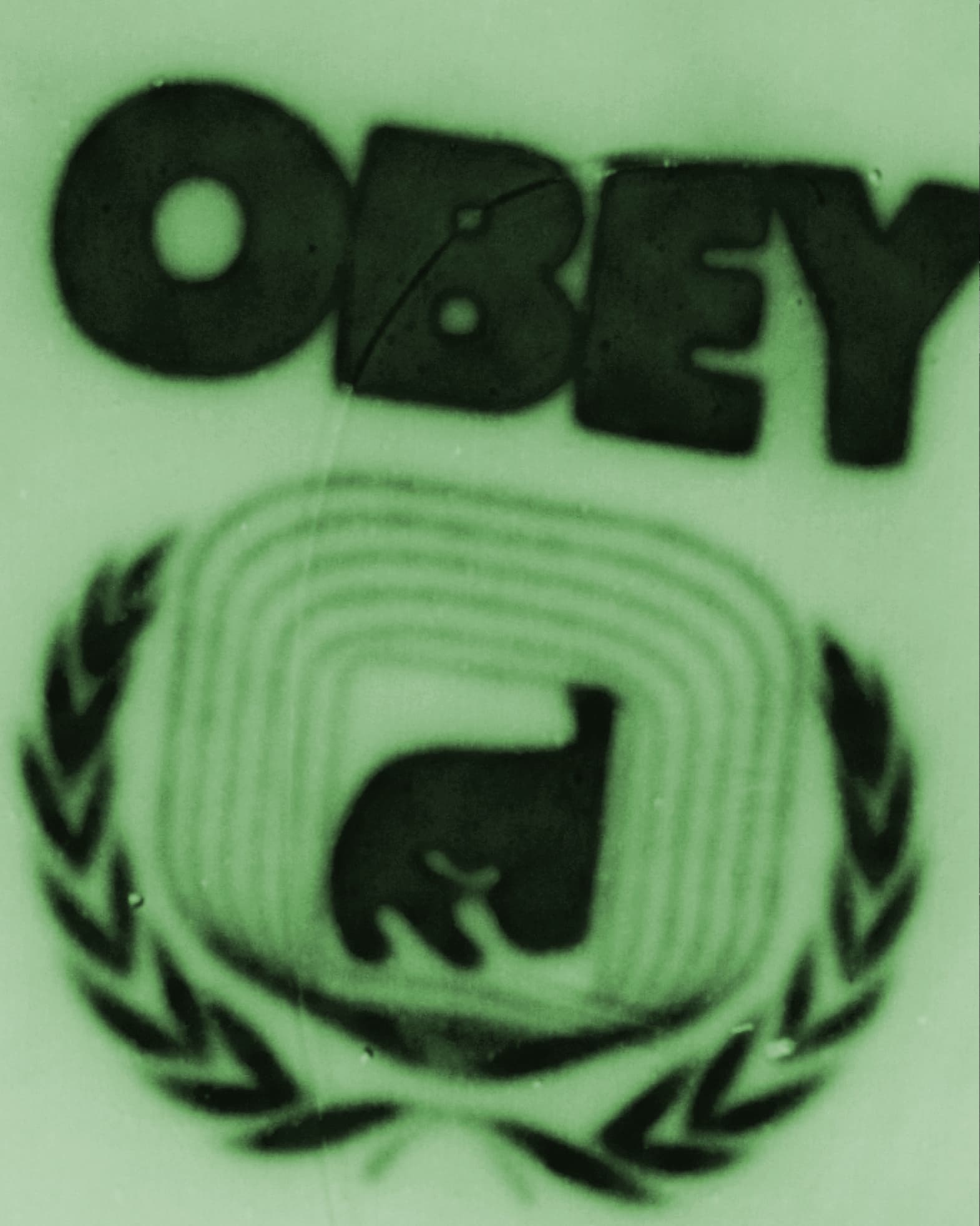 Lifestyle image Obey