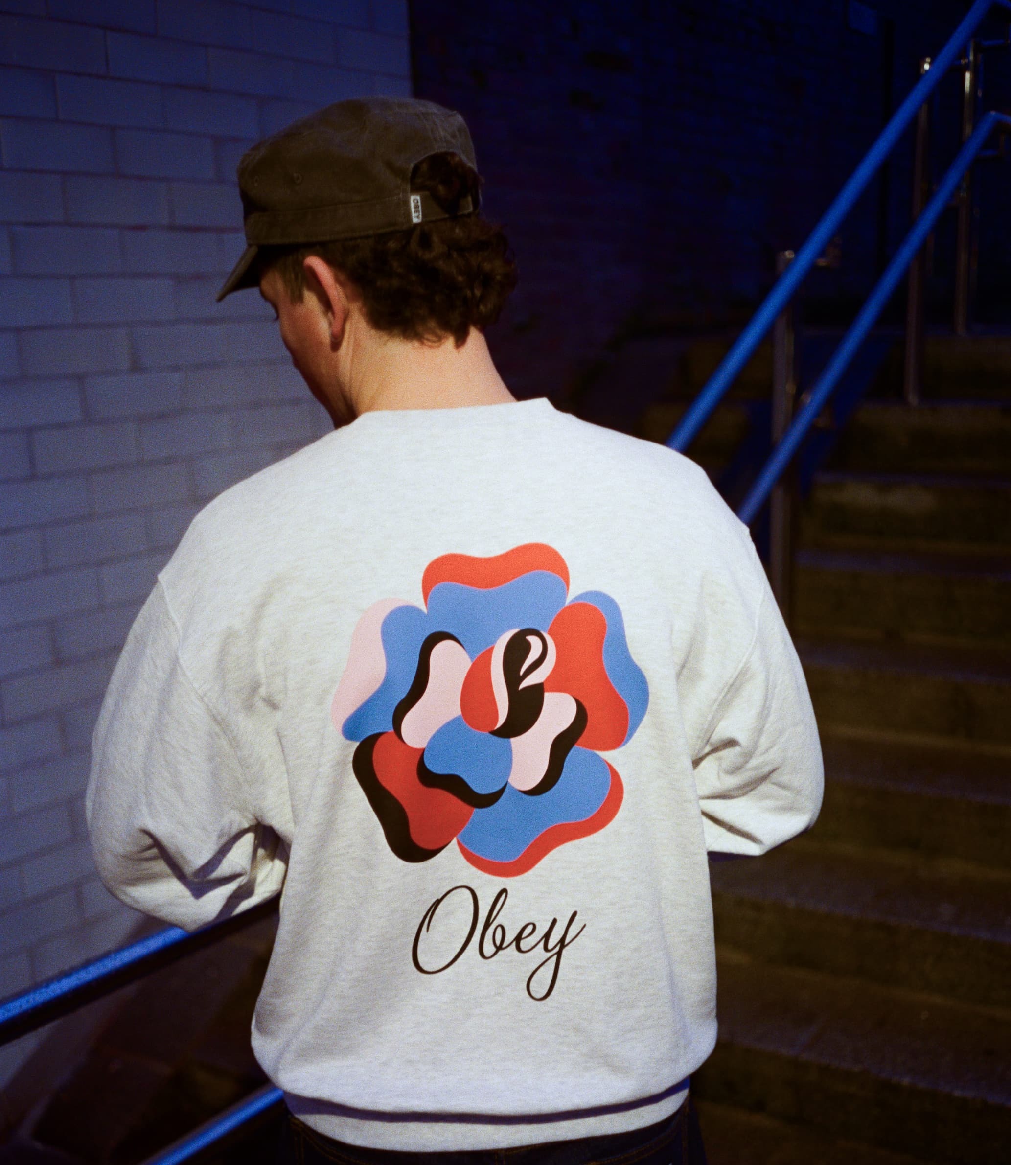 Shepard Fairey Collection - Image 1