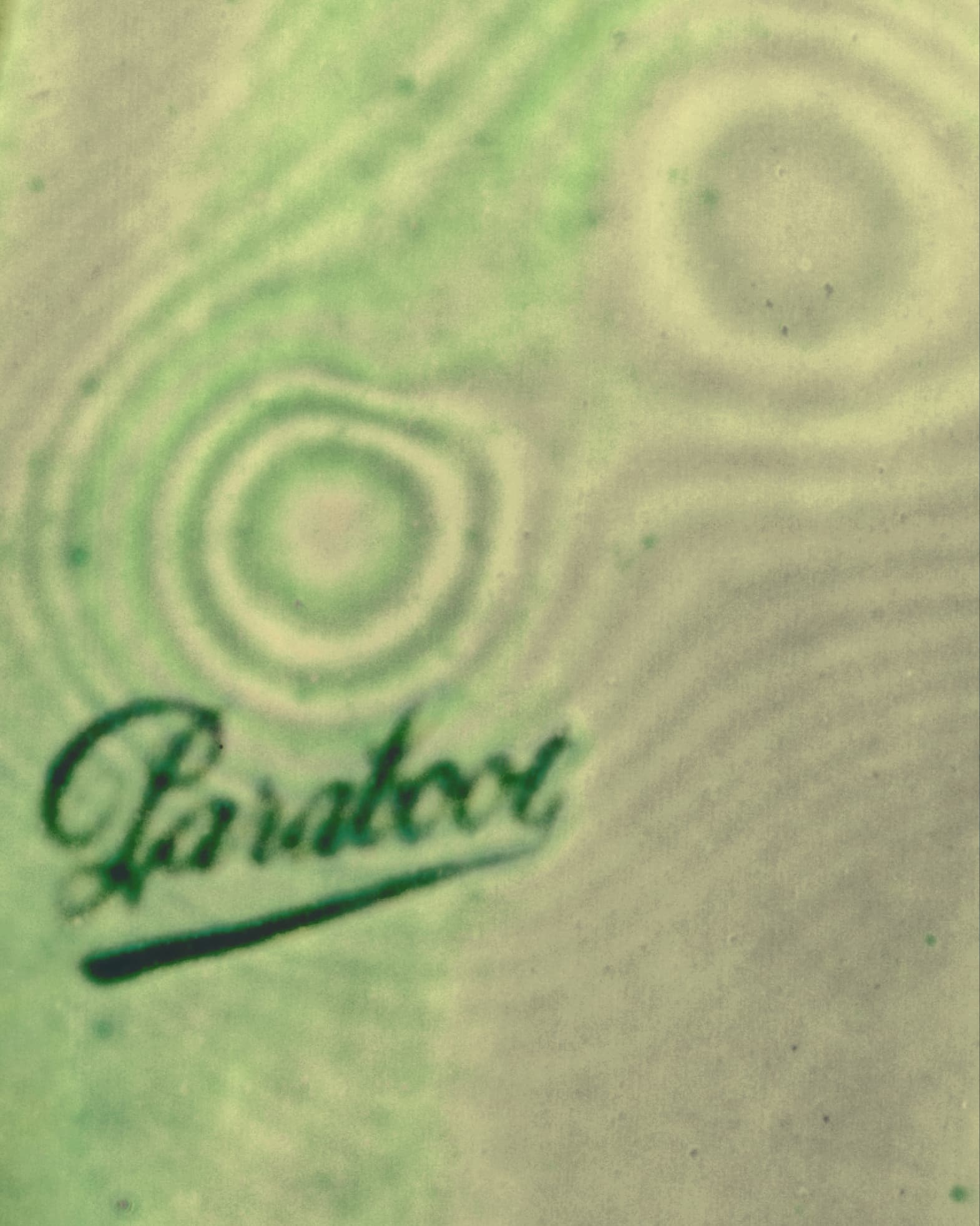 paraboot logo
