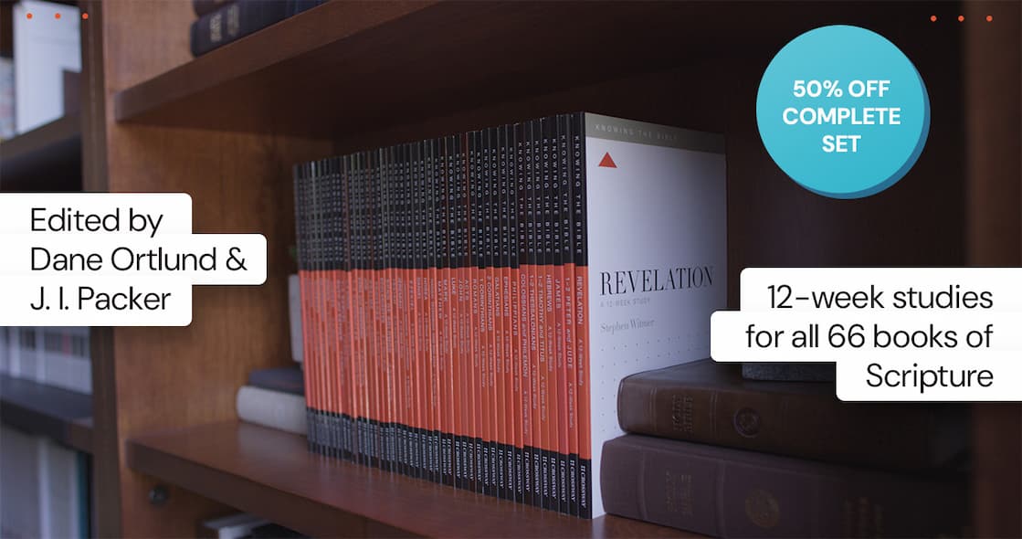 an image of a book shelf with books and a few other books