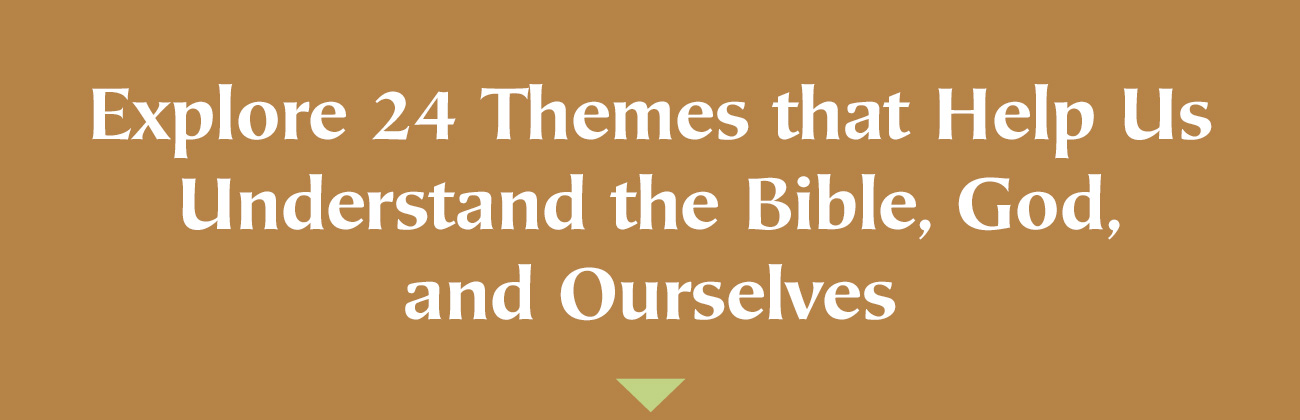 A Biblical Framework for Understanding God, Humanity, and the World  Build a strong theological foundation with this three-volume series from Vern Poythress. Beginning with the Trinity, continuing through the nature of humanity, and culminating in the foundational themes of Genesis 1–3, these books demonstrate how Scripture provides a coherent and compelling framework for understanding reality.  Written with clarity and pastoral warmth, Poythress helps readers connect core Christian doctrines to everyday questions about the world, human identity, and God's purposes in creation. Whether you're new to theology or looking to deepen your understanding, these accessible volumes show how the Bible's grand story shapes every aspect of life.