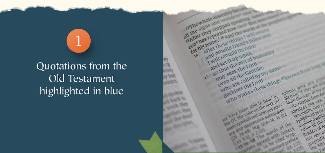 The New Testament doesn't stand alone. Nearly every page echoes the promises, patterns, and prophecies of the Old Testament. Edited by biblical theology scholars G.K. Beale and Benjamin Gladd, the CSB Connecting Scripture New Testament makes those connections impossible to miss. Color-coded cross-references, insightful study notes, articles, and charts help you trace the Bible's grand redemptive storyline from beginning to end.