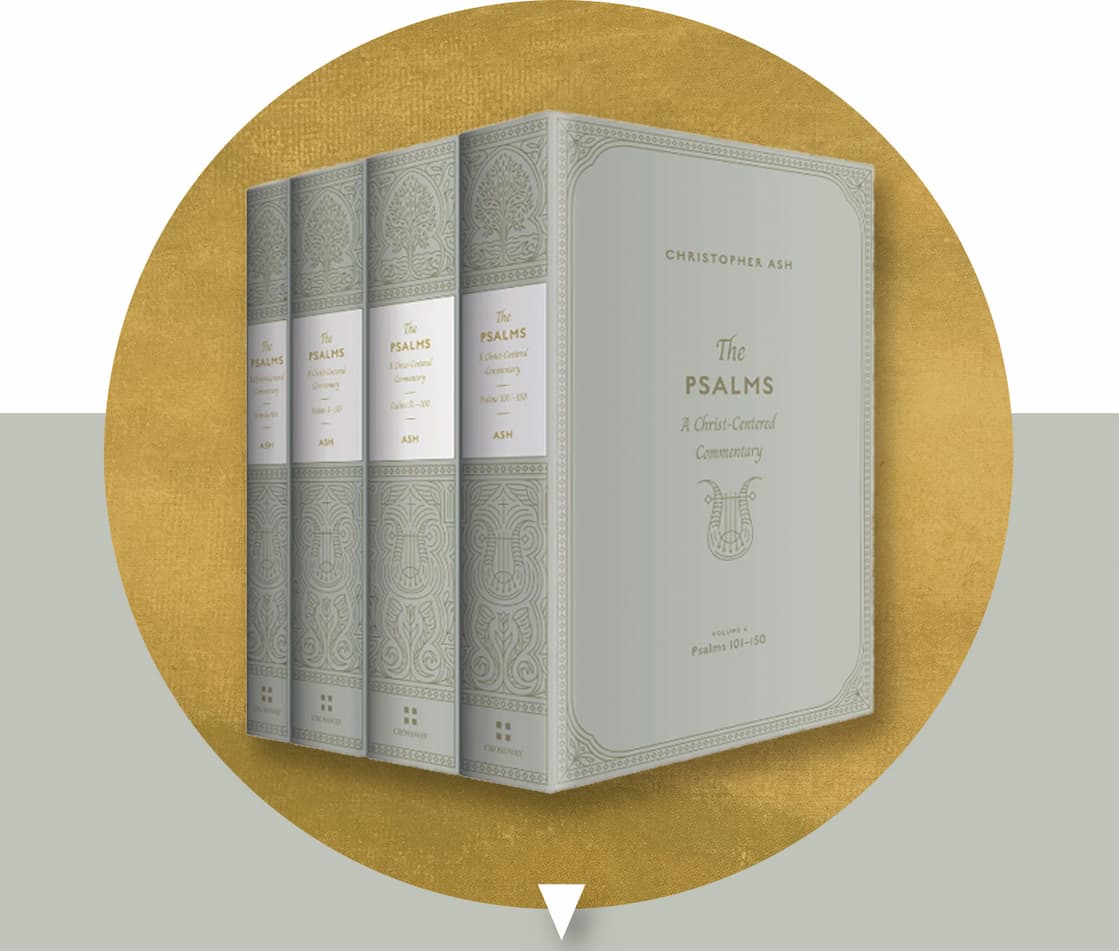 In this comprehensive, 4-volume commentary, Christopher Ash provides a thorough treatment of all 150 Psalms, examining each psalm's significance to David and the other psalmists, to Jesus during his earthly ministry, and to the church of Christ in every age. The first volume in the set is a detailed handbook that explains how to interpret the Psalms with Christ at the center. The remaining 3 volumes cover each psalm in depth, with introductory quotations, a deep analysis of the text's structure and vocabulary, and a closing reflection and response. Ash also includes selected quotations from older readings of the Psalms, including patristic, medieval, Reformation, and post-Reformation scholars. Perfect for pastors, Bible teachers, and students, this commentary set helps readers sing and pray the Psalms with Christ in view.