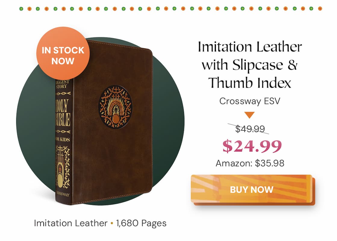 Illustrated ESV Bible Filled with Fun Resources to Help Children Learn and Apply God's Word When children are ready for a Bible of their own, choose one that captures their attention and helps them understand God's plan of redemption. ESV The Biggest Story Holy Bible for Kids is perfect for ages 6-12. Each book of the Bible opens with a colorful 3-page introduction that includes a summary, timeline, information about the author, character profiles, and more. Near the end of every chapter, "Digging Deeper" sections recap the passage and prompt kids to "Learn, Reflect, Discover, and Pray" about what they've just read.