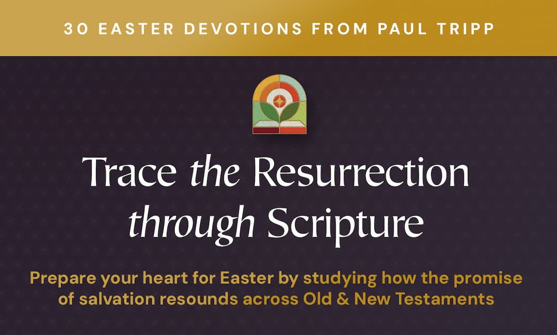 Celebrate Easter with 30 Devotions from Paul David Tripp That Connect Scripture to Everyday Life  While the life and death of Jesus are detailed in the four Gospels, the promise of salvation resounds throughout the Old and New Testaments. In this special Easter devotional, Paul David Tripp reflects on biblical events--from Genesis through Revelation--that tell of Christ's crucifixion and resurrection.  Adapted from Tripp's 365-day devotional, Everyday Gospel, this Easter edition features 30 selected entries to read up to Easter Sunday. With engaging questions for each day, it is ideal for personal study or family devotions as you celebrate the entire story of salvation and the resurrection of our Savior.