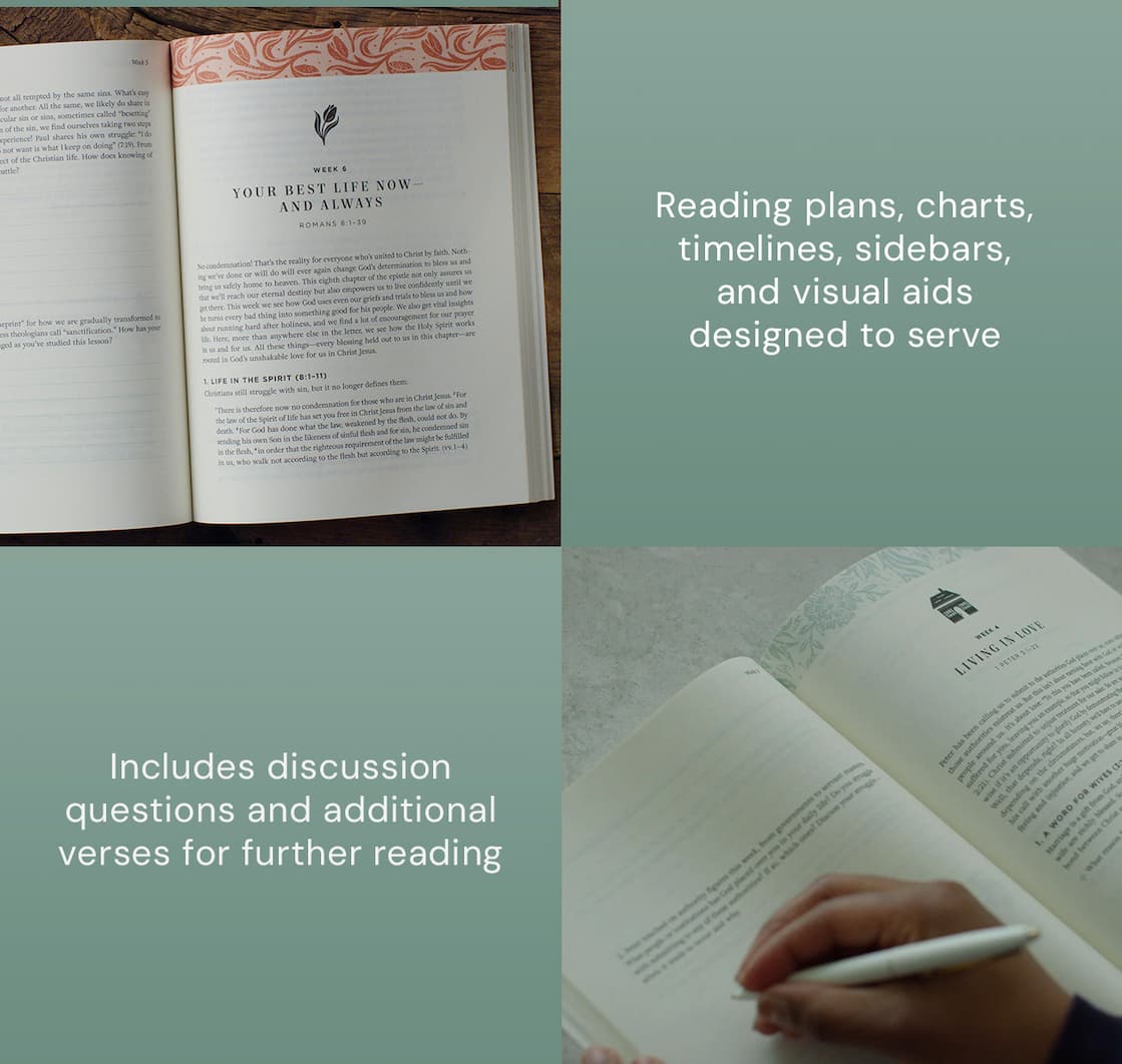 Flourish Bible Studies  10-Week Bible Study for Women:  Offers an in-depth, exegetical look at books of the Bible  Quick, Engaging Weekly Resources: Helpful reading plans, sidebars, timelines, and more to help busy readers get the most out of Scripture  Perfect for Individuals or Small Groups: Includes discussion questions and additional verses for further reading