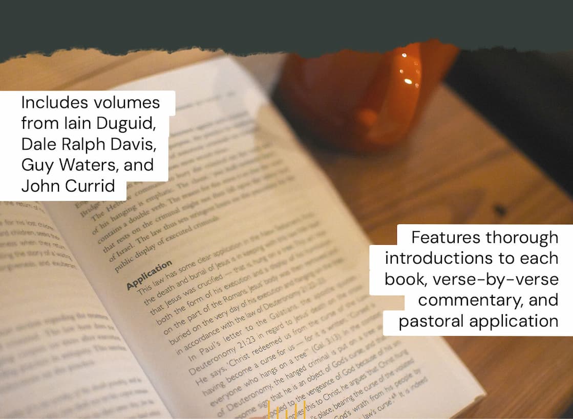 The EP Study Commentary series is designed for ministers, theologians and serious students of the Bible. With John D. Currid as the series editor, EPSCs balance biblical scholarism with straightforward application, making them the ideal companion for pastors and Bible teachers.