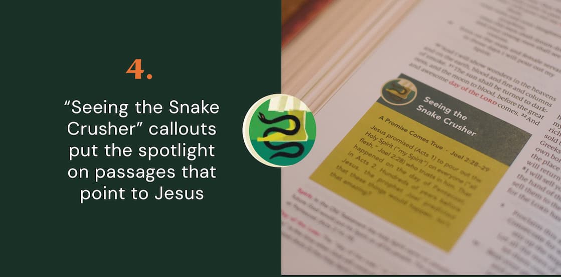Illustrated ESV Bible Filled with Fun Resources to Help Children Learn and Apply God's Word When children are ready for a Bible of their own, choose one that captures their attention and helps them understand God's plan of redemption. ESV The Biggest Story Holy Bible for Kids is perfect for ages 6-12. Each book of the Bible opens with a colorful 3-page introduction that includes a summary, timeline, information about the author, character profiles, and more. Near the end of every chapter, "Digging Deeper" sections recap the passage and prompt kids to "Learn, Reflect, Discover, and Pray" about what they've just read.