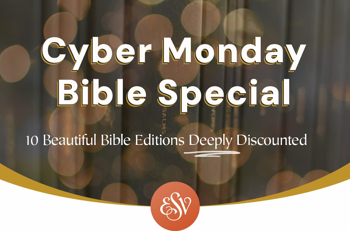 Curated Titles for Every Reader on Your List: Bibles • Commentaries • Bedtime Reads • DevotionalsClassics • New Releases • Bible Studies