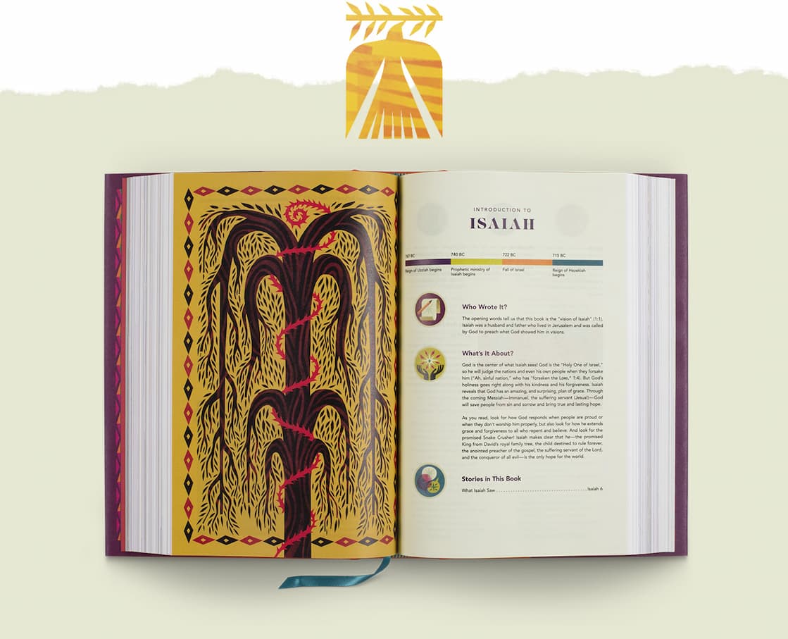 Illustrated ESV Bible Filled with Fun Resources to Help Children Learn and Apply God's Word When children are ready for a Bible of their own, choose one that captures their attention and helps them understand God's plan of redemption. ESV The Biggest Story Holy Bible for Kids is perfect for ages 6-12. Each book of the Bible opens with a colorful 3-page introduction that includes a summary, timeline, information about the author, character profiles, and more. Near the end of every chapter, "Digging Deeper" sections recap the passage and prompt kids to "Learn, Reflect, Discover, and Pray" about what they've just read.