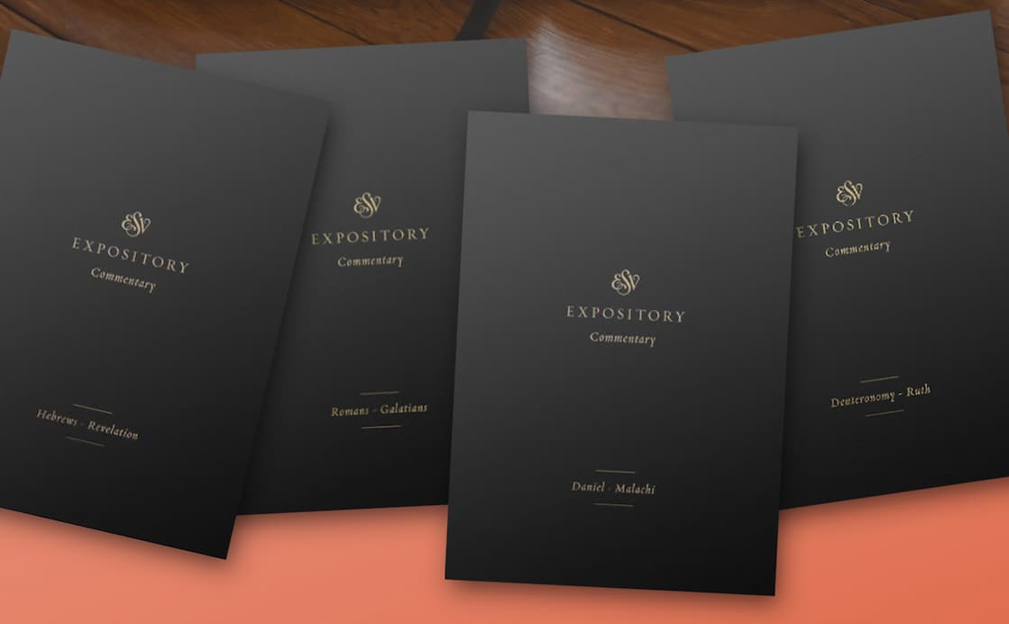 Comprehensive Commentary Set Provides Rich Biblical Theology for Serious Readers of God's Word  Designed to strengthen the global church with a widely accessible, theologically sound, and pastorally wise resource for understanding and applying the overarching storyline of the Bible, this 12-volume commentary set features the full text of the ESV Bible passage by passage, with crisp and theologically rich exposition and application. Editors Iain M. Duguid, James M. Hamilton Jr., and Jay Sklar have gathered a team of experienced pastor-theologians to provide a new generation of pastors and other teachers of the Bible around the world with a globally minded commentary rich in biblical theology and broadly Reformed doctrine, making the message of redemption found in all of Scripture clear and available to all.
