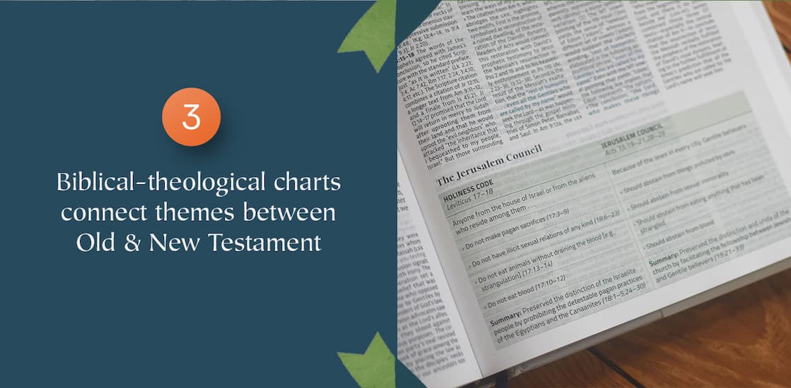 Developed by leading biblical theology scholars, G. K. Beale and Benjamin L. Gladd, the CSB Connecting Scripture New Testament helps readers connect the New Testament to the grand narrative and overarching redemption story of the Bible. This unique and accessible study resource includes a robust cross-reference system that highlights Old Testament quotations, allusions, and parallels within the New Testament and promotes the underlying unity of Scripture. Book introductions, study note commentary, articles, and helpful charts and infographics are also included throughout to further highlight and explain important theological themes and recurring connections between Old and New Testament books.