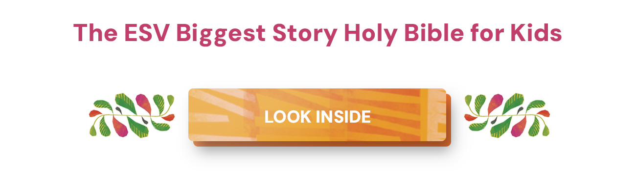 Illustrated ESV Bible Filled with Fun Resources to Help Children Learn and Apply God's Word When children are ready for a Bible of their own, choose one that captures their attention and helps them understand God's plan of redemption. ESV The Biggest Story Holy Bible for Kids is perfect for ages 6-12. Each book of the Bible opens with a colorful 3-page introduction that includes a summary, timeline, information about the author, character profiles, and more. Near the end of every chapter, "Digging Deeper" sections recap the passage and prompt kids to "Learn, Reflect, Discover, and Pray" about what they've just read.