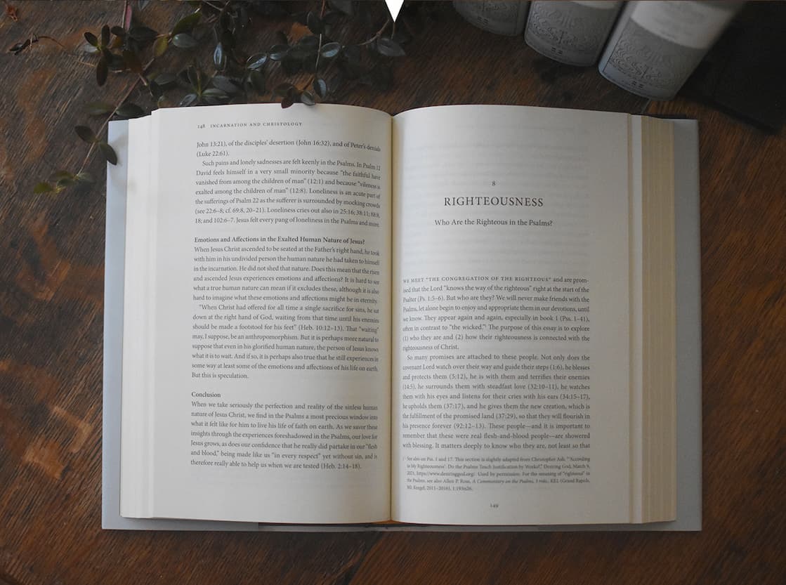 In this comprehensive, 4-volume commentary, Christopher Ash provides a thorough treatment of all 150 Psalms, examining each psalm's significance to David and the other psalmists, to Jesus during his earthly ministry, and to the church of Christ in every age. The first volume in the set is a detailed handbook that explains how to interpret the Psalms with Christ at the center. The remaining 3 volumes cover each psalm in depth, with introductory quotations, a deep analysis of the text's structure and vocabulary, and a closing reflection and response. Ash also includes selected quotations from older readings of the Psalms, including patristic, medieval, Reformation, and post-Reformation scholars. Perfect for pastors, Bible teachers, and students, this commentary set helps readers sing and pray the Psalms with Christ in view.