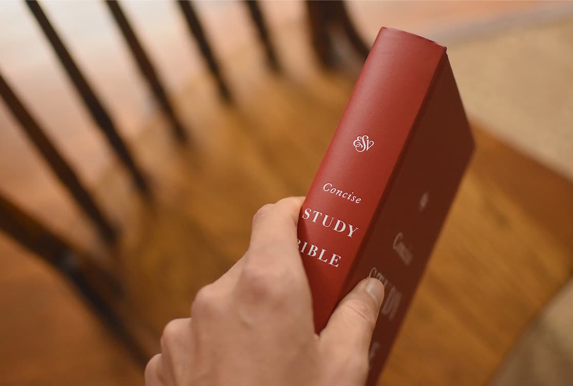 The ESV Concise Study Bible was created to help readers explore the essential meaning of the Bible. Inspired by the best-selling ESV Study Bible, this robust Bible offers fresh content for new believers and seasoned saints alike, explaining difficult phrases, defining key terms, identifying important people and places, and highlighting links between biblical passages.