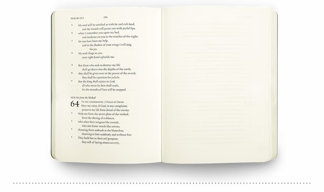 Curated Titles for Every Reader on Your List: Bibles • Commentaries • Bedtime Reads • DevotionalsClassics • New Releases • Bible Studies