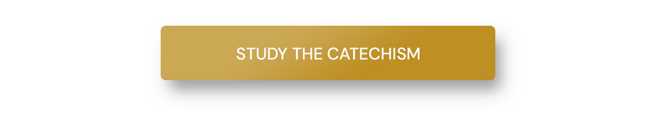 "There is no study of the Catechism quite like this one." - excerpt from Chad Van Dixhoorn's Preface John Thomson’s Explication offers a commentary on the Westminster Shorter Catechism that is approachable by scholars and families alike. Each question and answer of the WSC is listed along with a number of sub-questions which seek to unpack and elucidate the details of the WSC’s questions. A treasure trove for pastors and parents, Thomson’s Explication delivers unique insights into one of the crown jewels of the Reformed Catechetical tradition.