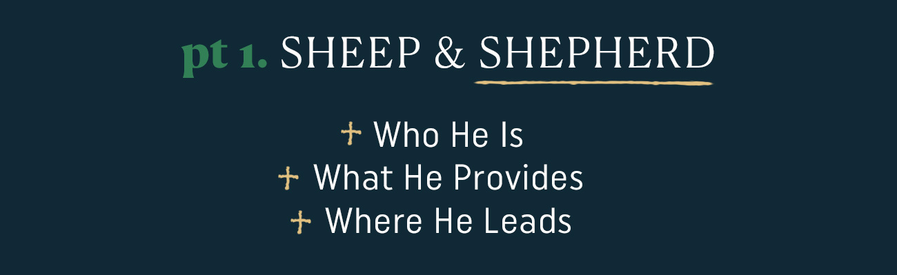 Expository Study of Psalm 23 Reveals the Beauty and Deep Theological Meaning behind a Familiar Part of Scripture  Psalm 23 is one of the most recognizable passages in the whole Bible. Though relatively short, this poetic depiction of God's love epitomizes Christ's goodness and provision as he leads his children. Even lifelong Christians will find fresh encouragement by closely studying these familiar words.  David Gibson walks through each verse in Psalm 23, thoroughly examining its 3 depictions of the believer's union with Christ as sheep and shepherd, traveler and companion, and guest and host. Gibson provides canonical context for the Psalm's beautiful imagery, inspiring praise and wonder as readers reflect on the loving Shepherd who meets every need.