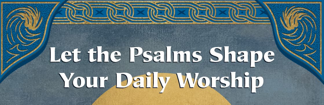 With beautiful prose that draws readers into worship, the Psalms serve as the Bible's very own liturgy. But many lifelong believers encounter seasons when devotion grows dull, and Scripture reading becomes a matter of dutiful habit rather than heartfelt praise. Come, Thou Fount of Every Blessing offers a 31-day liturgical guide rooted in the Psalms, providing content, structure, and rhythms that center hearts on honoring our God.