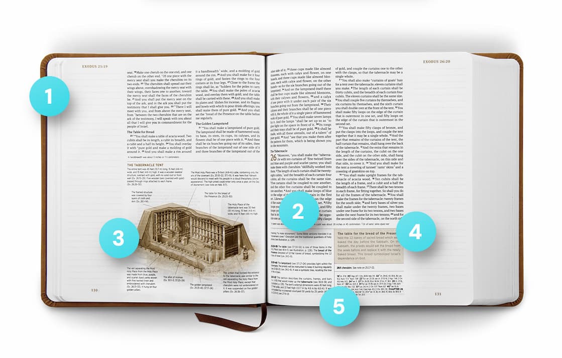 The best study Bibles help you understand Scripture. The best journaling Bibles help you interact with it.The ESV Journaling Study Bible does both.  Combining the trusted notes and theological depth of the ESV Study Bible with expansive 2-inch journaling margins, this edition gives you space not only to read God’s Word, but to engage with it personally. Record sermon notes, prayers, observations, cross-references, or moments of insight directly beside the biblical text—turning your Bible into a lasting record of your walk with Christ.