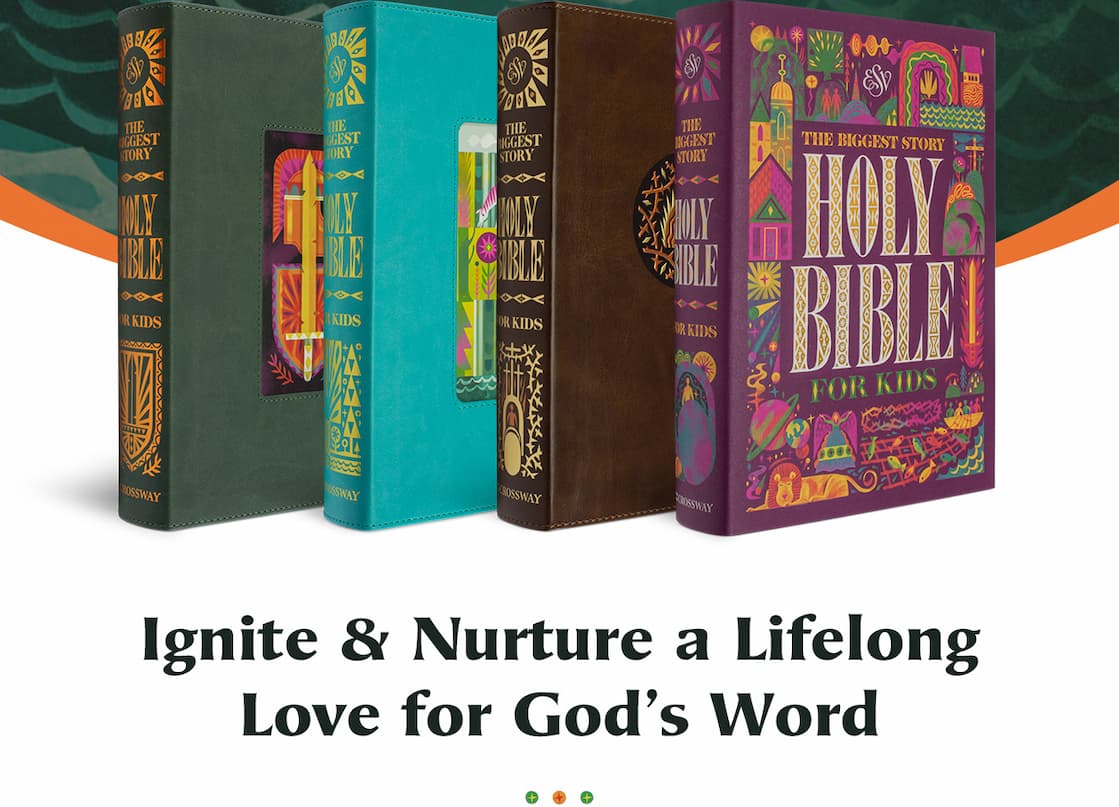 Illustrated ESV Bible Filled with Fun Resources to Help Children Learn and Apply God's Word When children are ready for a Bible of their own, choose one that captures their attention and helps them understand God's plan of redemption. ESV The Biggest Story Holy Bible for Kids is perfect for ages 6-12. Each book of the Bible opens with a colorful 3-page introduction that includes a summary, timeline, information about the author, character profiles, and more. Near the end of every chapter, "Digging Deeper" sections recap the passage and prompt kids to "Learn, Reflect, Discover, and Pray" about what they've just read.