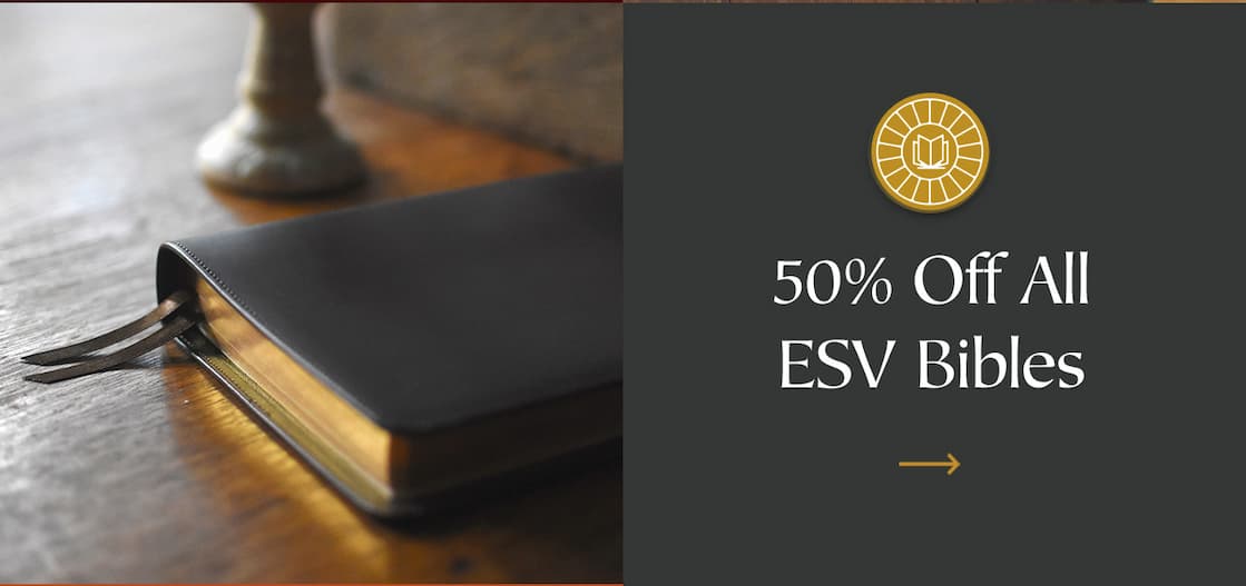 Curated Titles for Every Reader on Your List: Bibles • Commentaries • Bedtime Reads • DevotionalsClassics • New Releases • Bible Studies