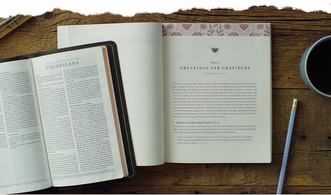 Flourish Bible Studies  10-Week Bible Study for Women:  Offers an in-depth, exegetical look at books of the Bible  Quick, Engaging Weekly Resources: Helpful reading plans, sidebars, timelines, and more to help busy readers get the most out of Scripture  Perfect for Individuals or Small Groups: Includes discussion questions and additional verses for further reading