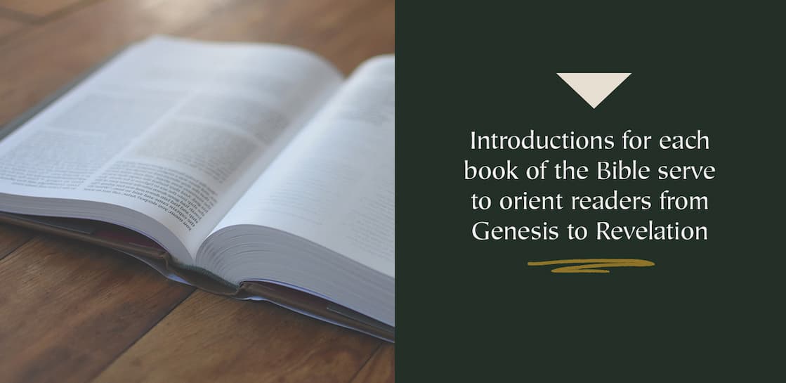Guided Notes alongside the ESV Text Explore God's Narrative Storyline and Plan for Salvation The Bible is the epic story of the unfolding plan of God over the course of the history of the world. The One Story Bible leads readers on a journey through this storyline from start to finish, with conversational commentary written by pastor Greg Gilbert interspersed throughout the full ESV text. With the aim of encouraging interaction and contemplation passage by passage, Gilbert explains how every part of Scripture fits together and is ultimately centered on Christ. Particularly suitable to those who are new to the Bible but rich with insights for even the most seasoned Bible reader, The One Story Bible will draw readers in as they see their place in the greatest story ever told.
