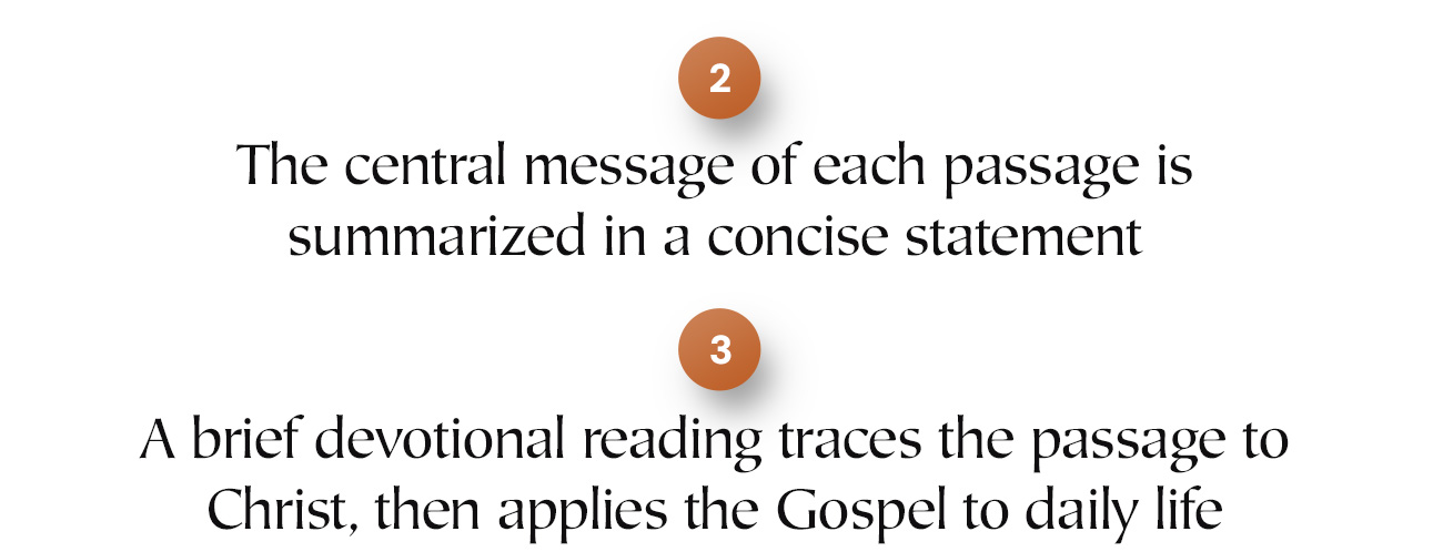 Celebrate Easter with 30 Devotions from Paul David Tripp That Connect Scripture to Everyday Life  While the life and death of Jesus are detailed in the four Gospels, the promise of salvation resounds throughout the Old and New Testaments. In this special Easter devotional, Paul David Tripp reflects on biblical events--from Genesis through Revelation--that tell of Christ's crucifixion and resurrection.  Adapted from Tripp's 365-day devotional, Everyday Gospel, this Easter edition features 30 selected entries to read up to Easter Sunday. With engaging questions for each day, it is ideal for personal study or family devotions as you celebrate the entire story of salvation and the resurrection of our Savior.