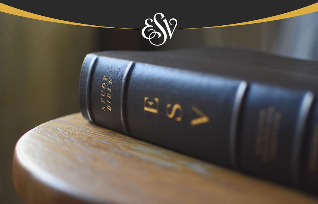 The ESV Study Bible was designed to help you understand the Bible in a deeper way. Created by a diverse team of 95 leading Bible scholars and teachers--from 9 countries, nearly 20 denominations, and 50 seminaries, colleges, and universities--the ESV Study Bible features a wide array of study tools, making it a valuable resource for serious readers, students, and teachers of God's Word.