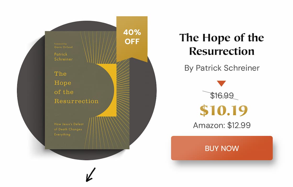 Spring 2026 new release sale
