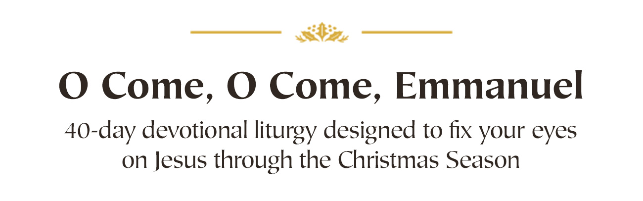Enrich your rhythm of worship and deepen your journey through the church year with this elegant set of three liturgical devotionals. Each volume offers a rich structure of Scripture readings, historic prayers, hymns, creeds, and guided reflection, designed for daily use, family devotion, or personal meditation. Whether you are moving through ordinary time, preparing for God’s coming, or meditating on Christ’s passion and resurrection, these resources help you build a life shaped by the gospel. Thoughtfully composed and beautifully bound, this set invites you to view the calendar as sacred, to keep Christ at the center of every season, and to cultivate a steady heart of worship all year long.