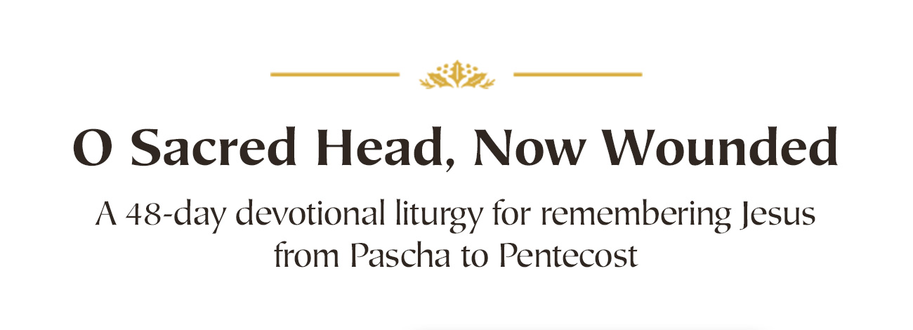 Enrich your rhythm of worship and deepen your journey through the church year with this elegant set of three liturgical devotionals. Each volume offers a rich structure of Scripture readings, historic prayers, hymns, creeds, and guided reflection, designed for daily use, family devotion, or personal meditation. Whether you are moving through ordinary time, preparing for God’s coming, or meditating on Christ’s passion and resurrection, these resources help you build a life shaped by the gospel. Thoughtfully composed and beautifully bound, this set invites you to view the calendar as sacred, to keep Christ at the center of every season, and to cultivate a steady heart of worship all year long.