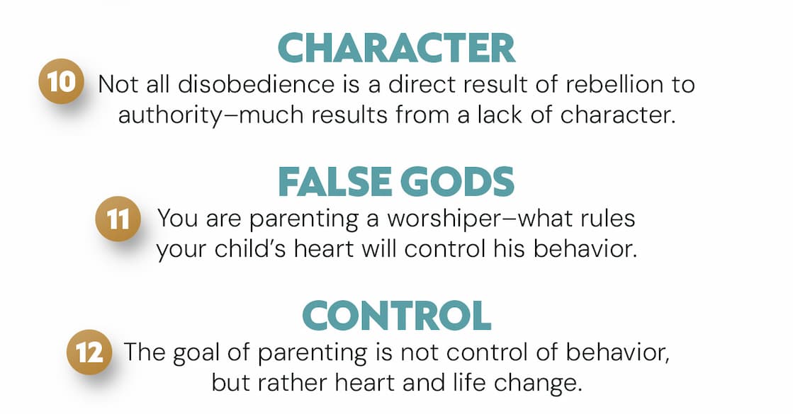 Paul David Tripp's Bestselling Book on Parenting, Now with Study Questions  Sometimes parents wish there was a guaranteed formula for raising good kids--a certain list of rules to follow to ensure they'd have obedient children. But if moms and dads view their role through the lens of God's grace, they will see that the gospel must first shape how they parent before they can effectively shape their children.  In the bestselling book Parenting, Paul David Tripp unfolds a more biblical perspective on parenting than merely adhering to a list of rules. He lays out 14 gospel-centered principles that will radically change the way parents think about what it means to raise up a child, informing everything they do as a parent. This edition includes a section of engaging study questions for every chapter, helping individuals and groups reflect on each topic in greater depth.