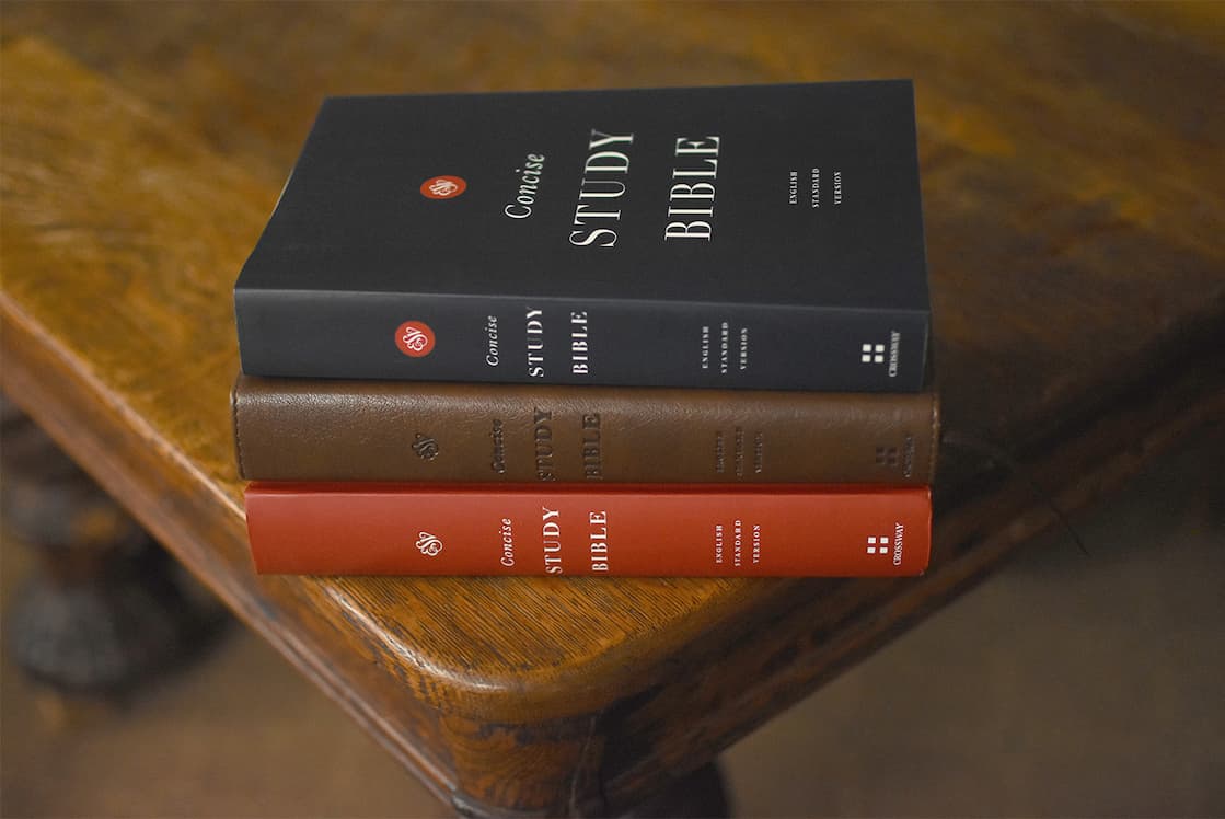 The ESV Concise Study Bible was created to help readers explore the essential meaning of the Bible. Inspired by the best-selling ESV Study Bible, this robust Bible offers fresh content for new believers and seasoned saints alike, explaining difficult phrases, defining key terms, identifying important people and places, and highlighting links between biblical passages.