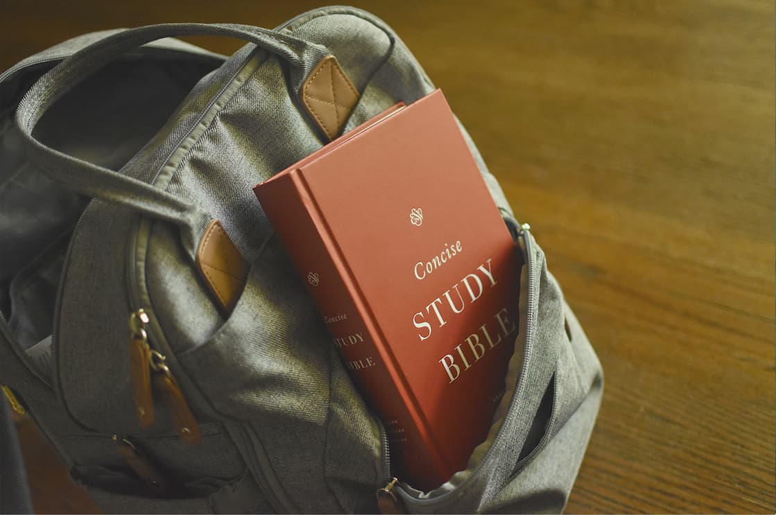 The ESV Concise Study Bible was created to help readers explore the essential meaning of the Bible. Inspired by the best-selling ESV Study Bible, this robust Bible offers fresh content for new believers and seasoned saints alike, explaining difficult phrases, defining key terms, identifying important people and places, and highlighting links between biblical passages.