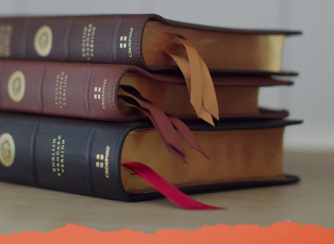 Created with the highest-quality materials, the ESV Heirloom Bible is an elegant Bible printed and bound with superior craftsmanship by Royal Jongbloed in the Netherlands. This Bible features European Bible paper, an extra smooth sewn binding, art gilding, and multiple ribbon markers.  Manufactured with care and precision, the ESV Heirloom Bible is guaranteed to last a lifetime.