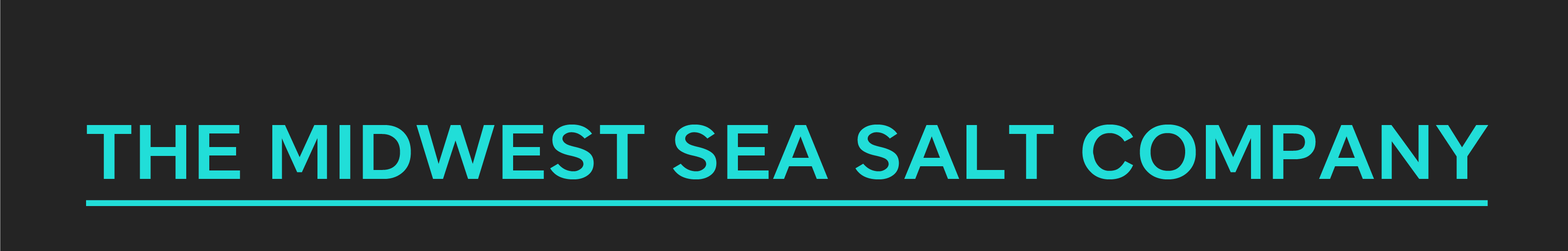Dive into 2024 Midwest Sea Salt Company
